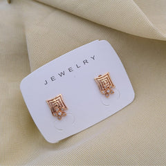 Buy Rainhue Earrings For Girls & Women Online At Best Price | Roodap